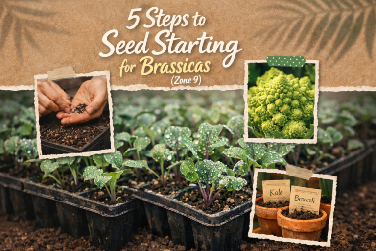 The Suburban Homestead: A Practical Guide to Self-Sufficiency in Southern US Suburbs