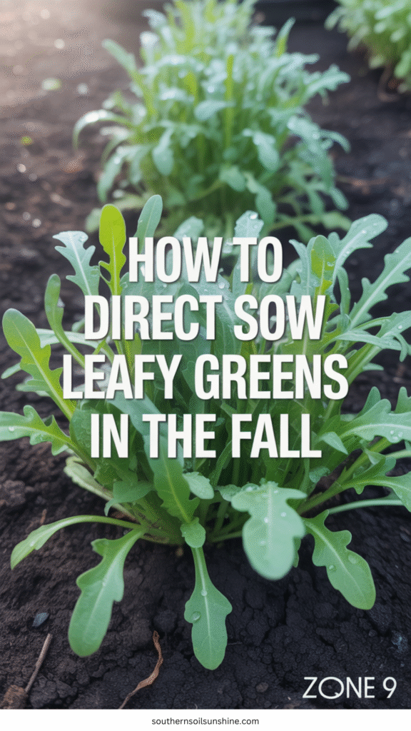 How to Direct Sow Leafy Greens in Fall